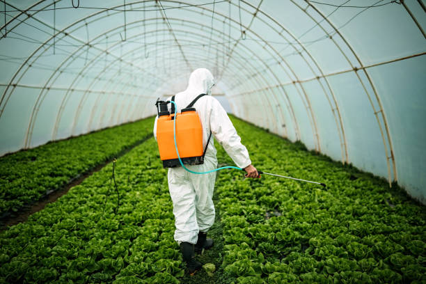 Pest Prevention Services in Palisade, CO
